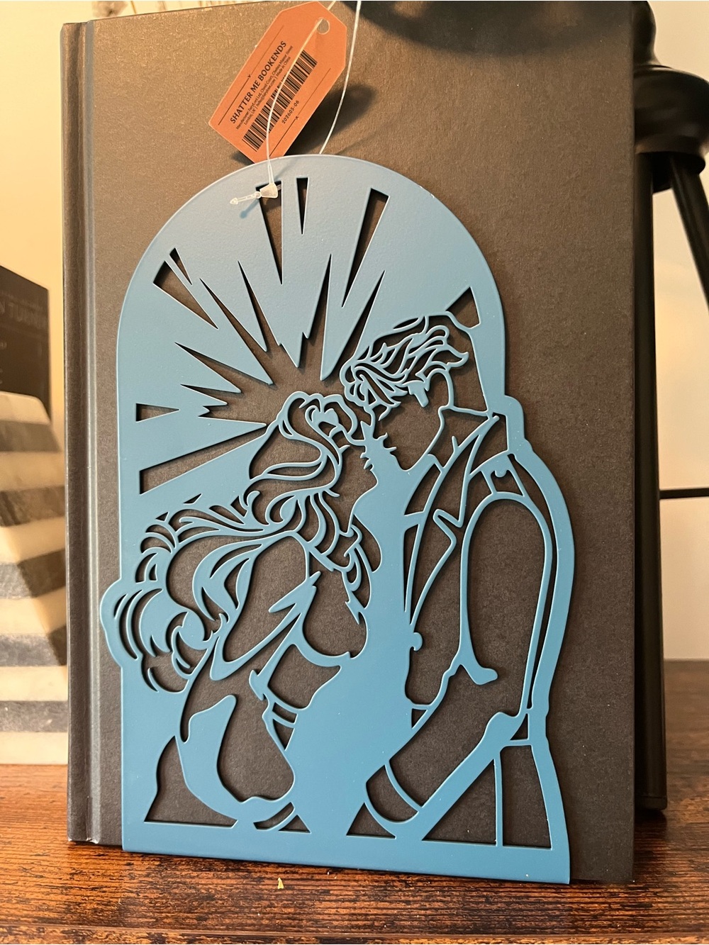 Fairyloot Shatter Me Bookend